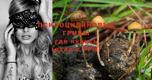 таблы Аркадак