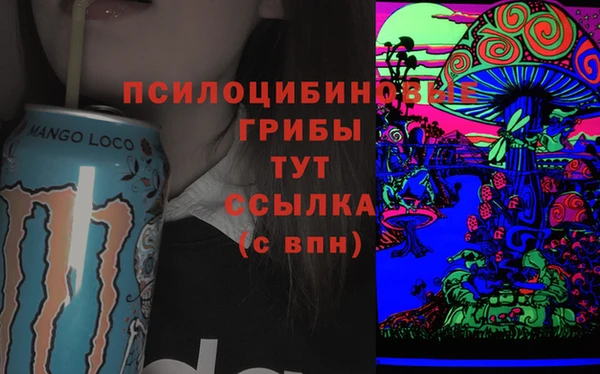 трава Армянск