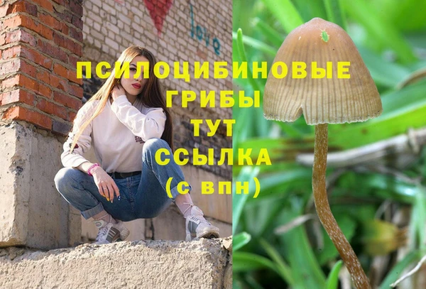 трава Армянск