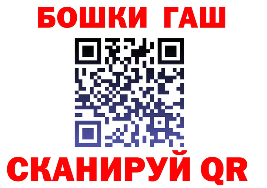 А ПВП СК вход площадка OMG Медвежьегорск