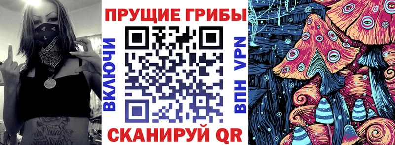 Псилоцибиновые грибы мицелий  где найти   это клад  Медвежьегорск 